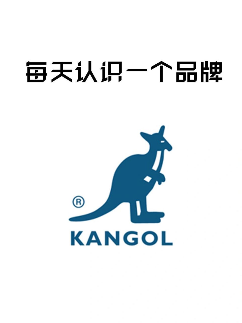 kangal(kangol手表价格)