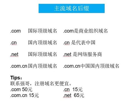 中文域名费用(域名费用多少钱)