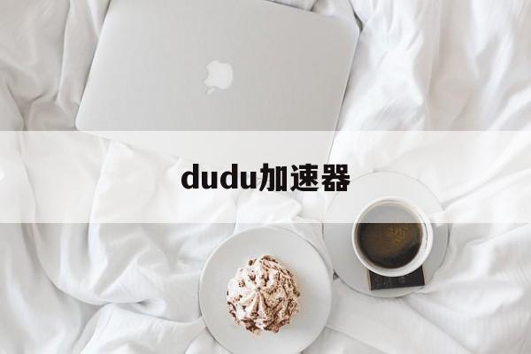 dudu加速器:(potato加速器)