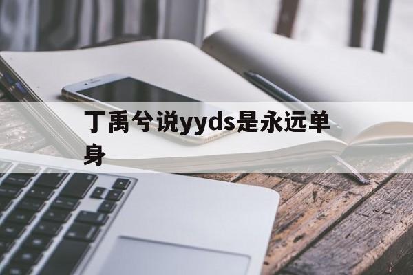 丁禹兮说yyds是永远单身的简单介绍