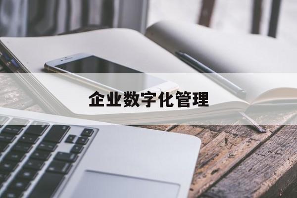 企业数字化管理:(企业数字化服务平台)