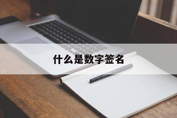 什么是数字签名:(数字签名的应用领域)