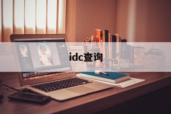 idc查询:(中国IDC公司排名)