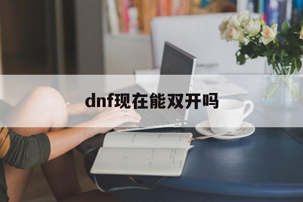 dnf现在能双开吗:(dnf单开搬砖能赚多少)