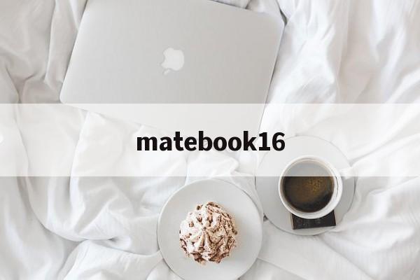 matebook16:(matebookd14)