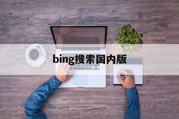 bing搜索国内版:(bing搜索引擎入口)