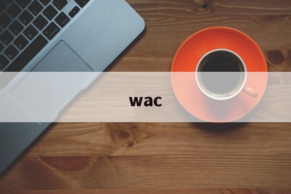 wac:(WAC是什么品牌)